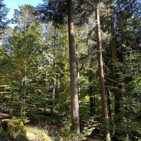 Centre 3 Pieces # 201 * Ле-Овальд